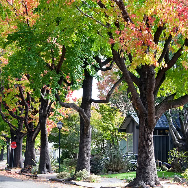 waterloo neighborhood